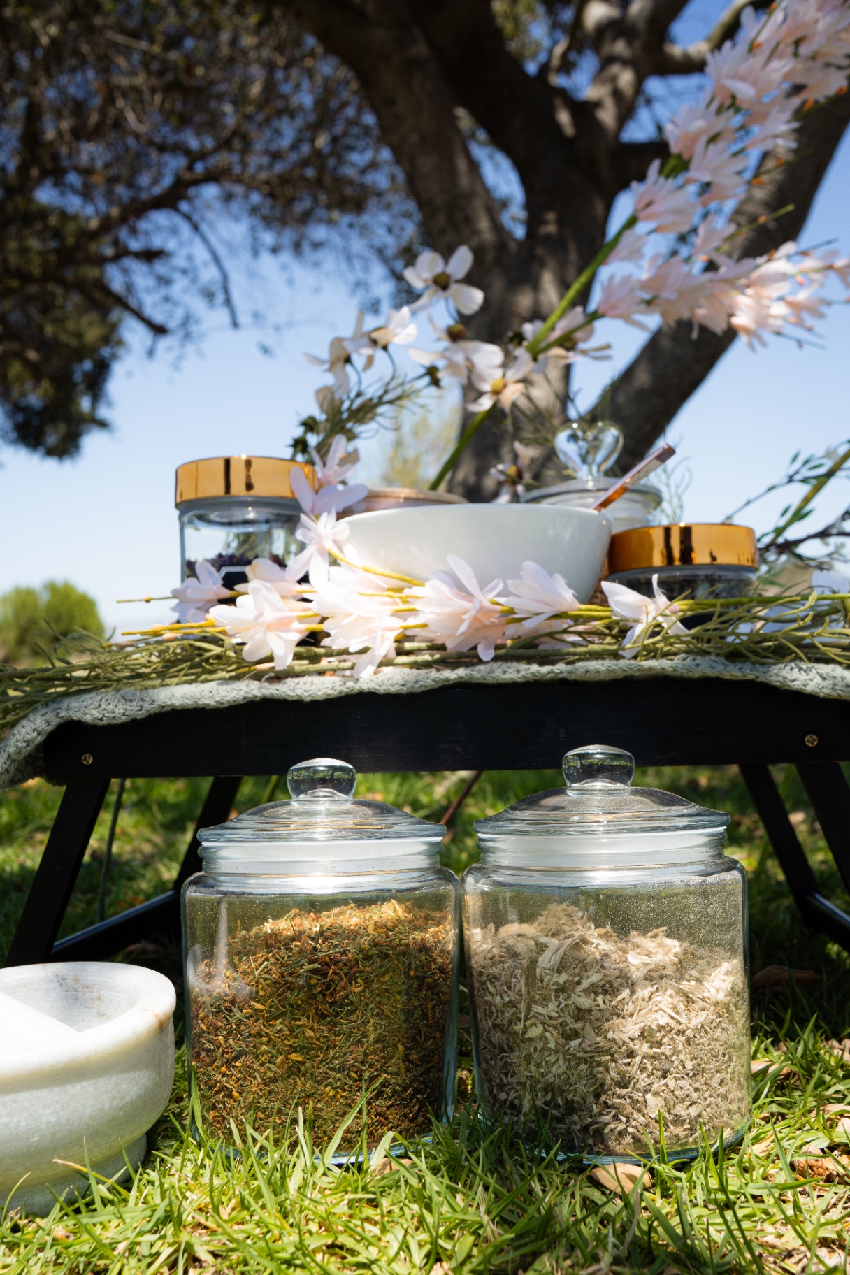Still Leaf apothecary display under an oak tree with mortar and pestle