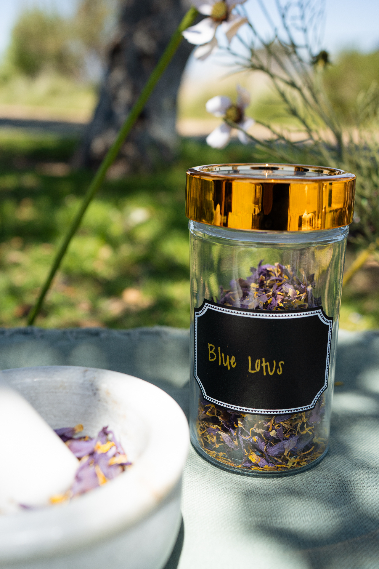 Still Leaf Blue Lotus herbal tea jar with mortar and pestle