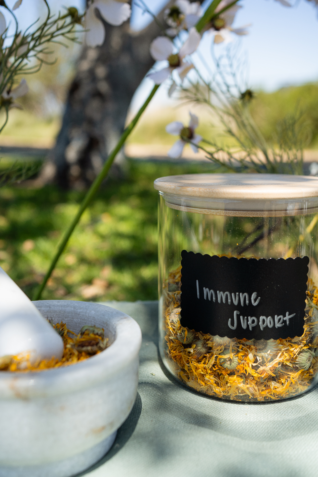 Still Leaf Immune Support herbal tea jar with calendula and mortar